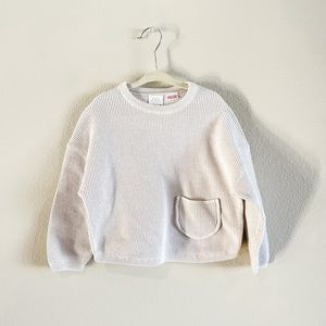 Zara sweater